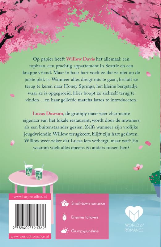 Achterkant van De perfecte matcha