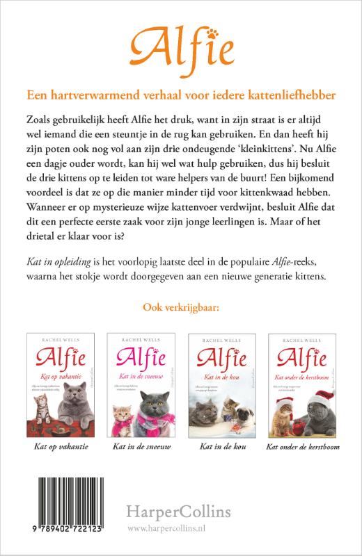 Achterkant van Kat in opleiding