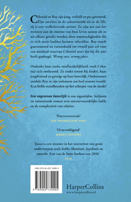 Achterkant van Een ongewoon huwelijk