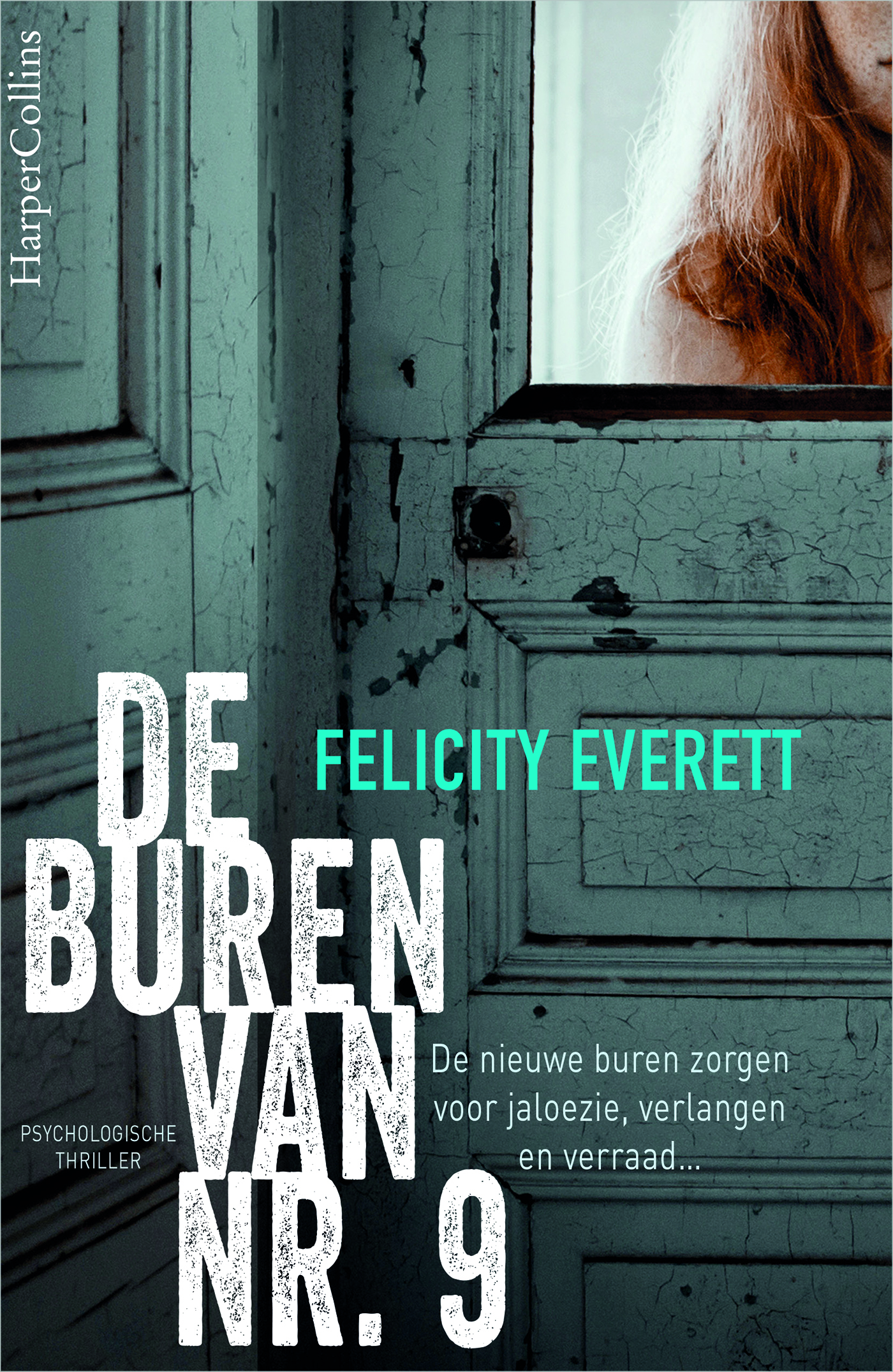 Achterkant van De buren van nr. 9