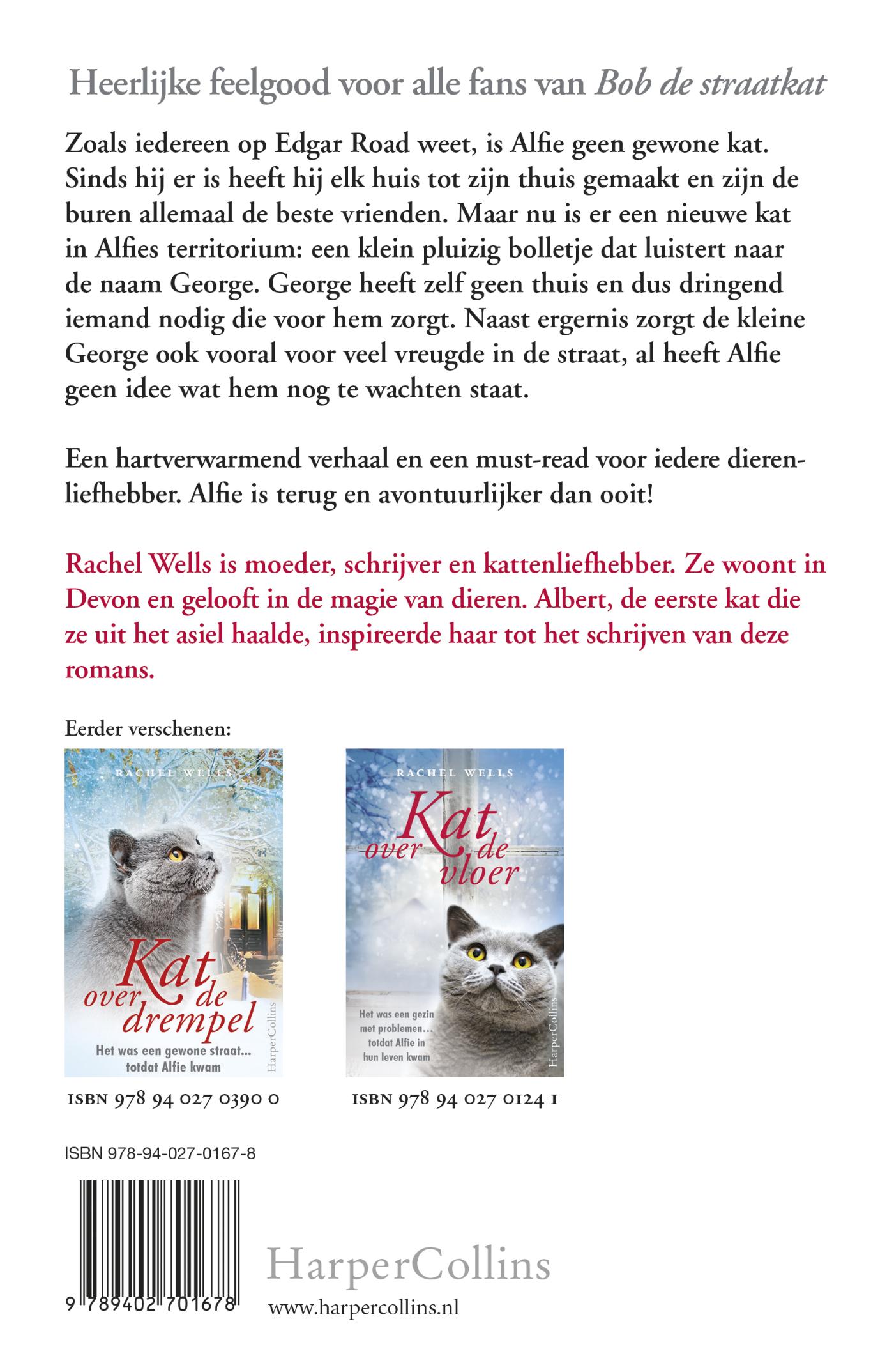 Achterkant van Kat voor de deur