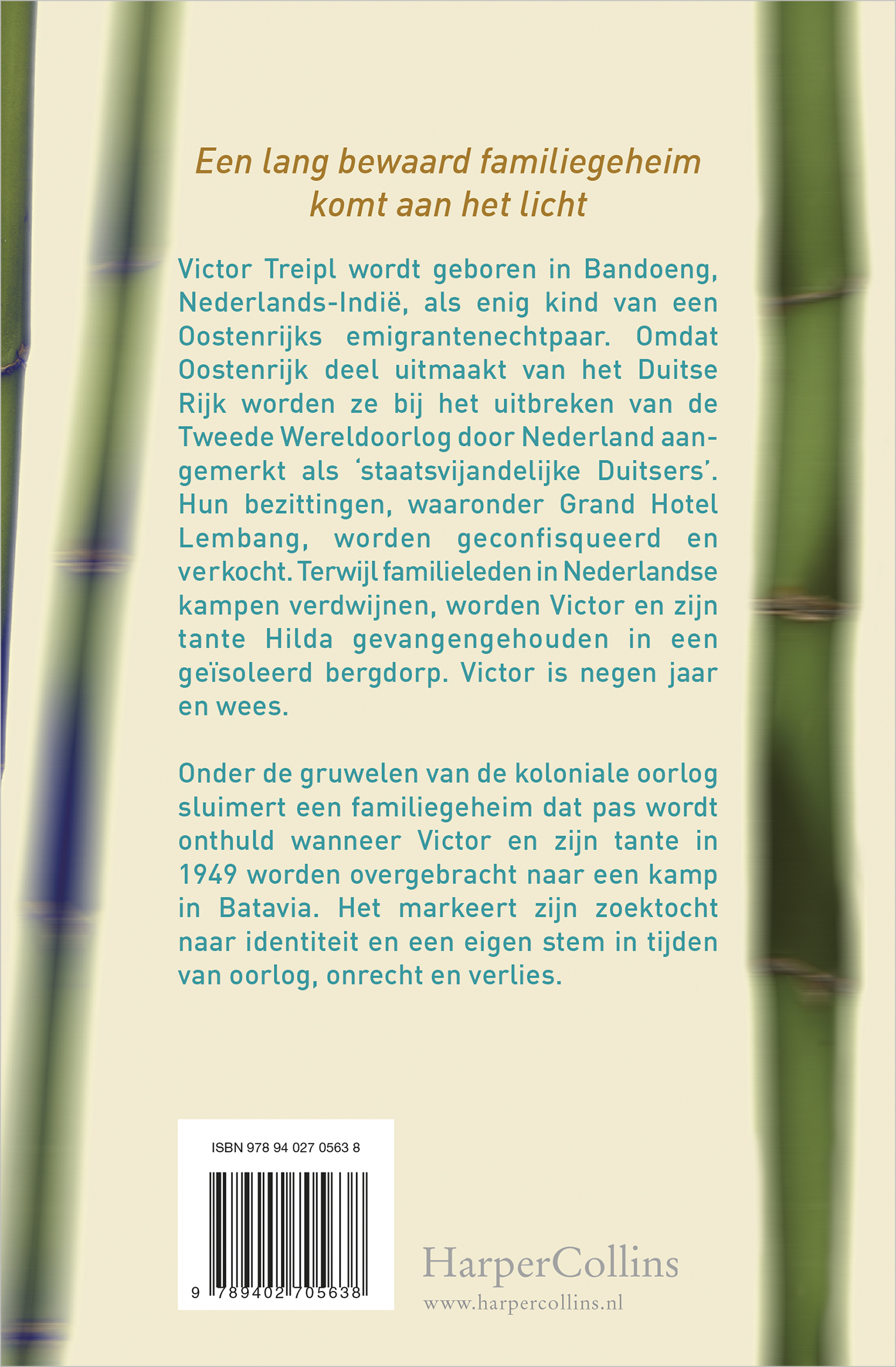 Achterkant van Schuilen tussen bamboe