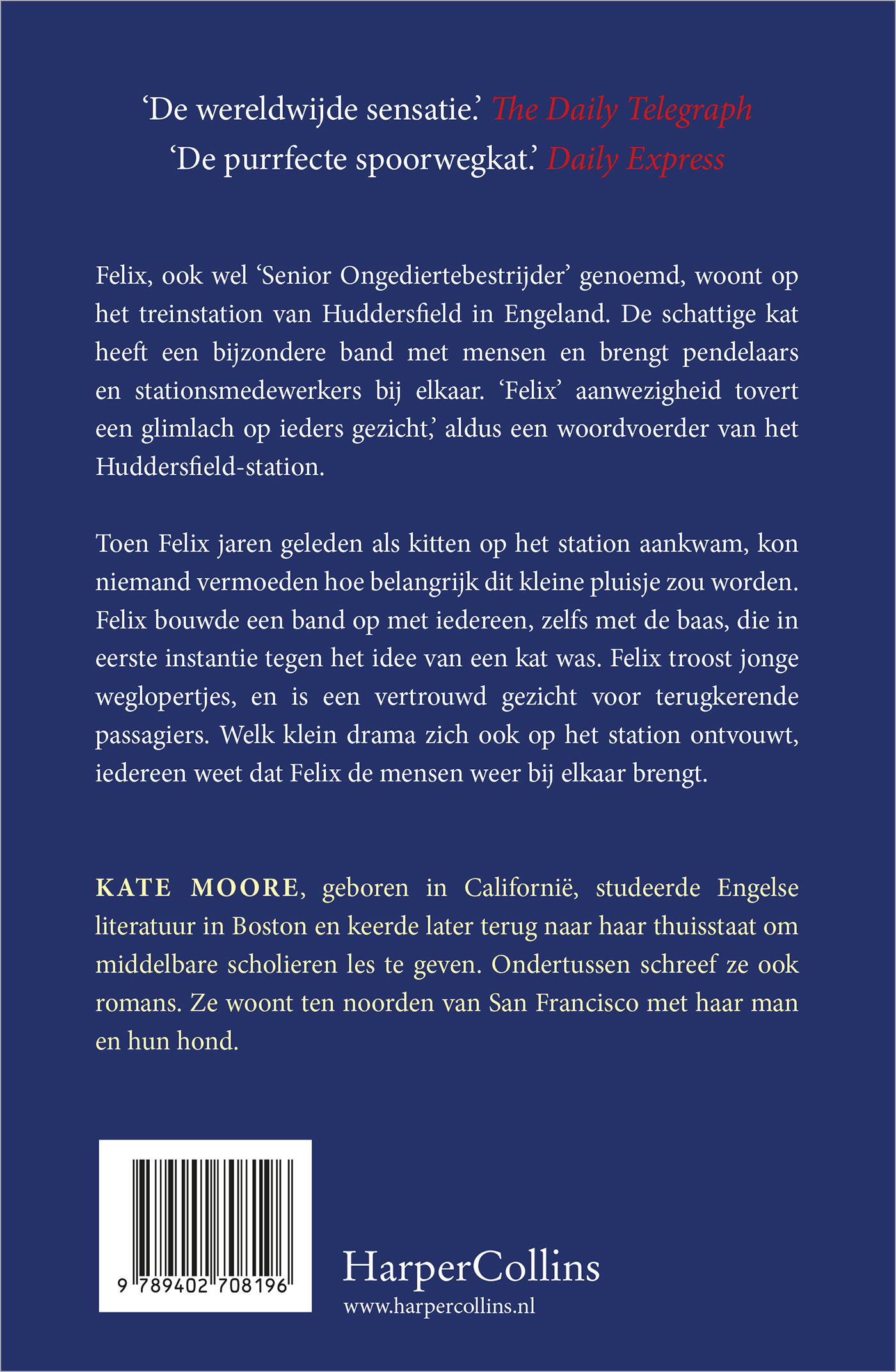 Achterkant van Felix de stationskat