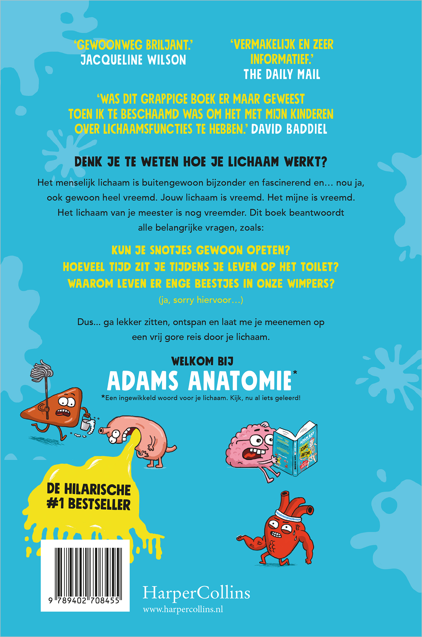 Achterkant van Adams anatomie