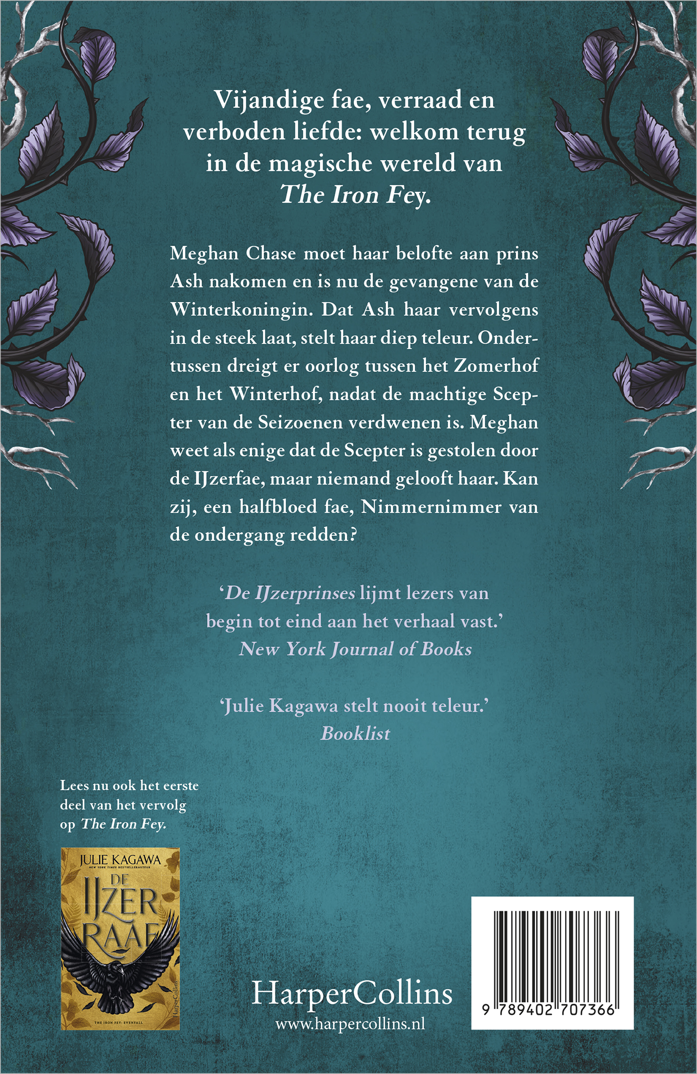 Achterkant van De IJzerprinses