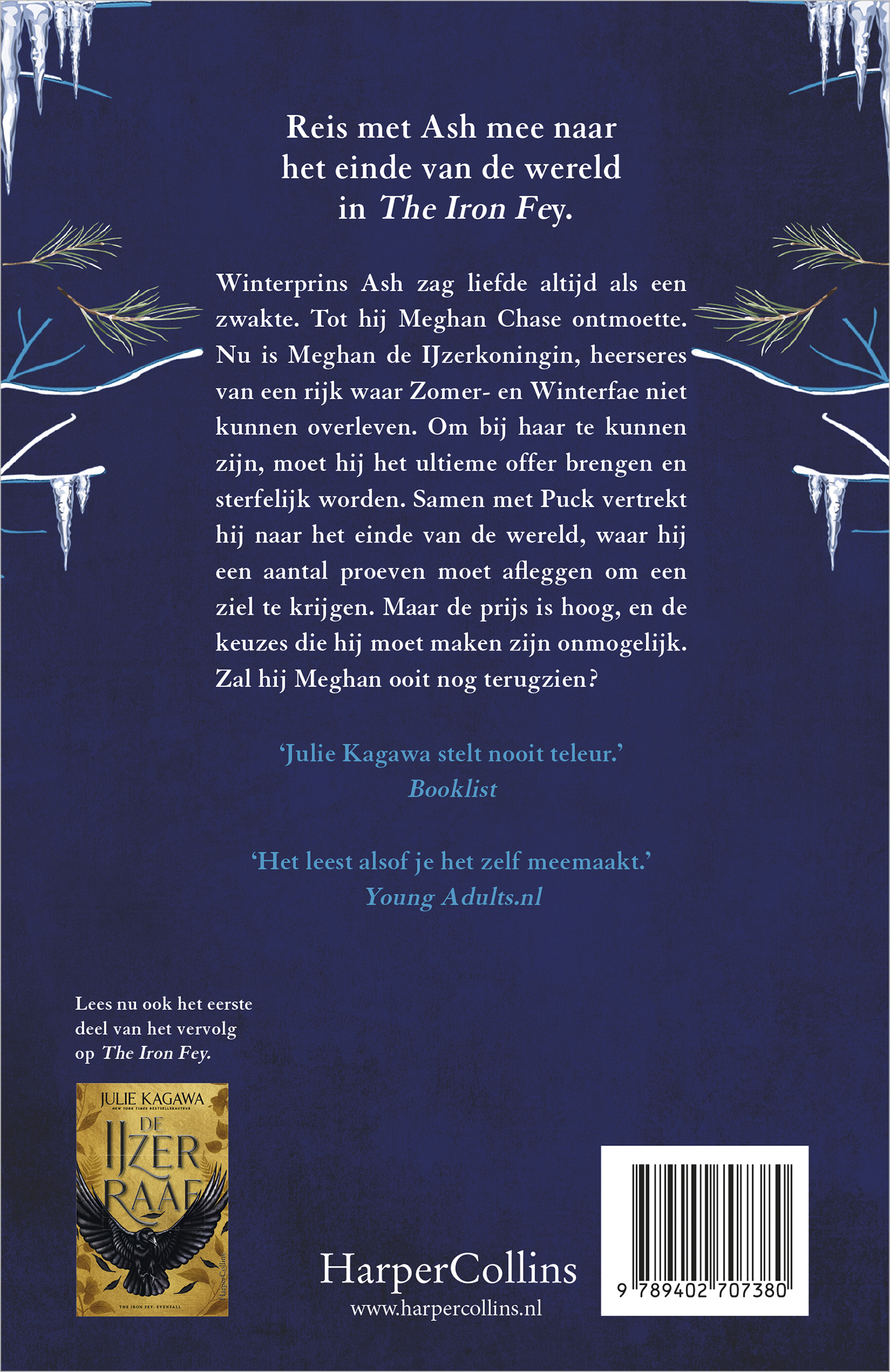 Achterkant van De IJzerprins