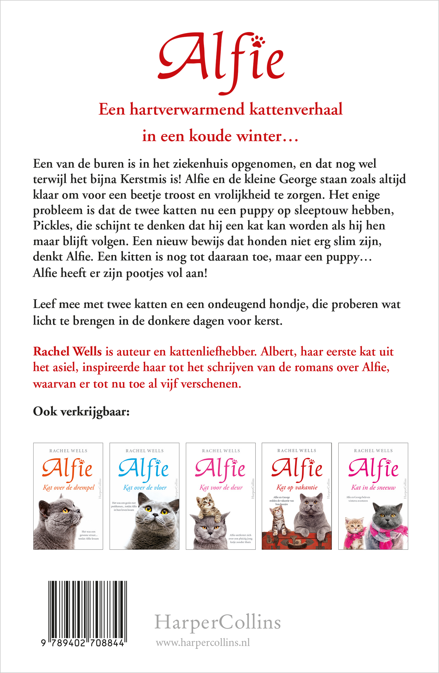 Achterkant van Kat in de kou