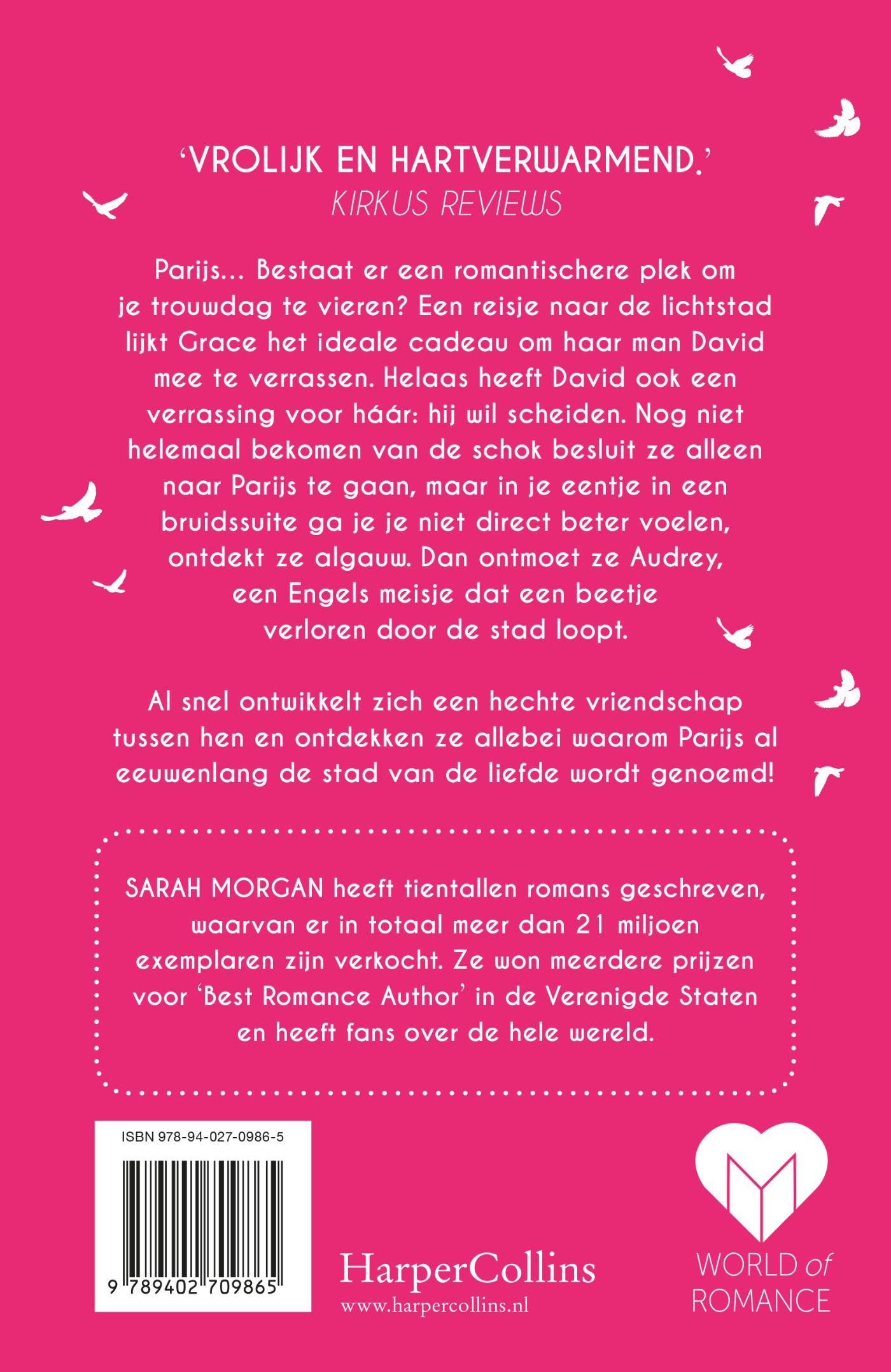 Achterkant van Een zomer in Parijs