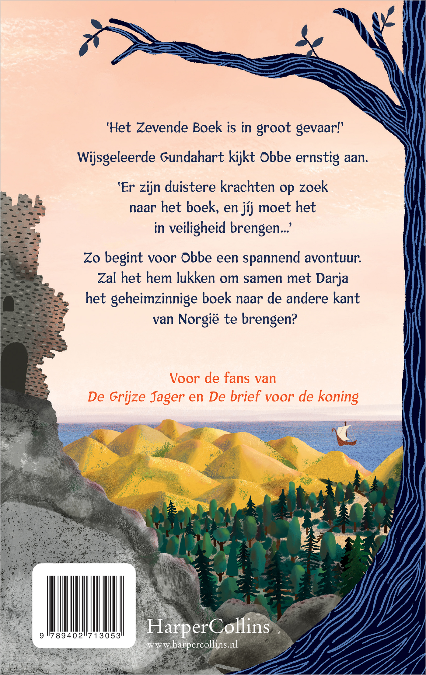 Achterkant van De Raadselbreker