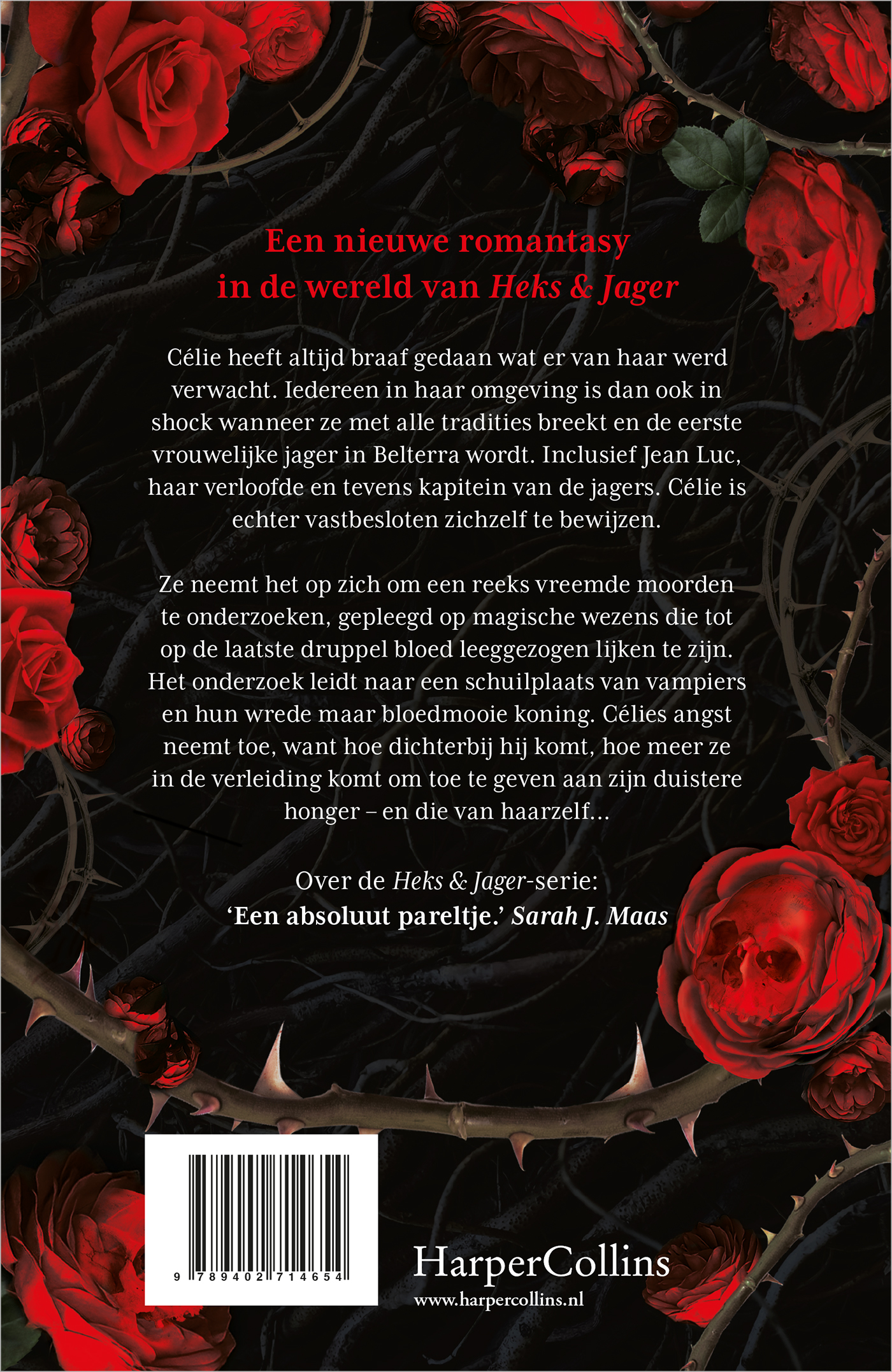 Achterkant van De bloedrode sluier