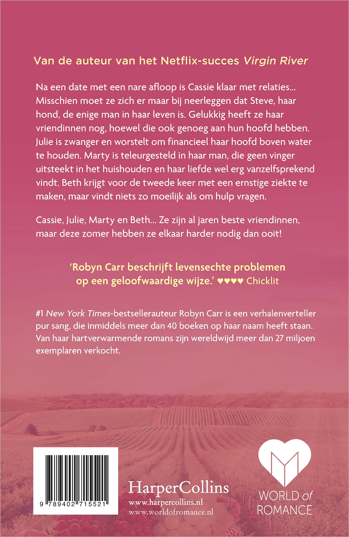 Achterkant van Een schitterende zomer