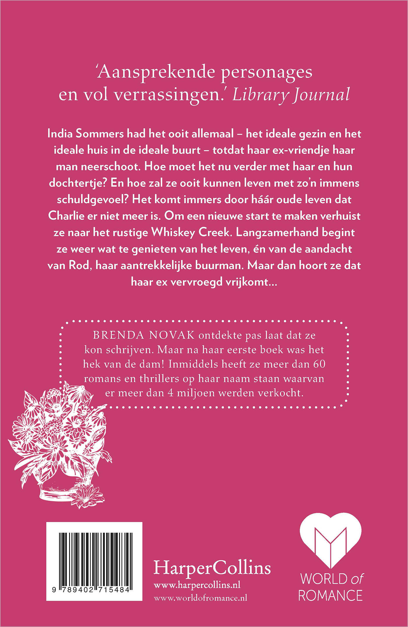 Achterkant van Het ideale plaatje
