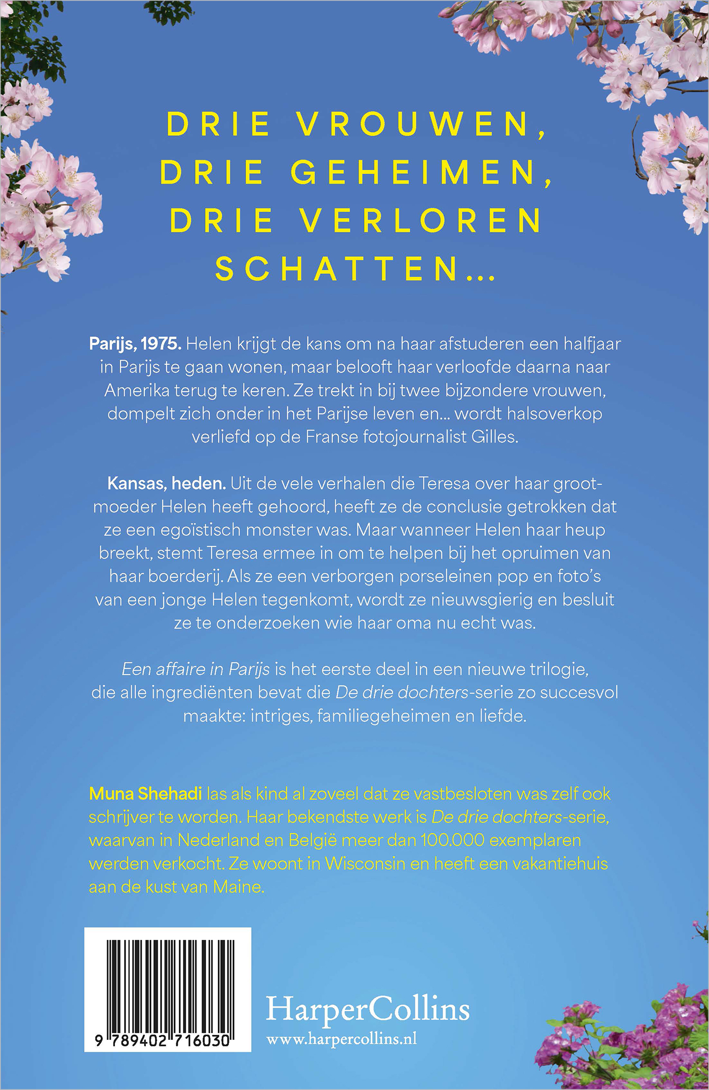 Achterkant van Een affaire in Parijs