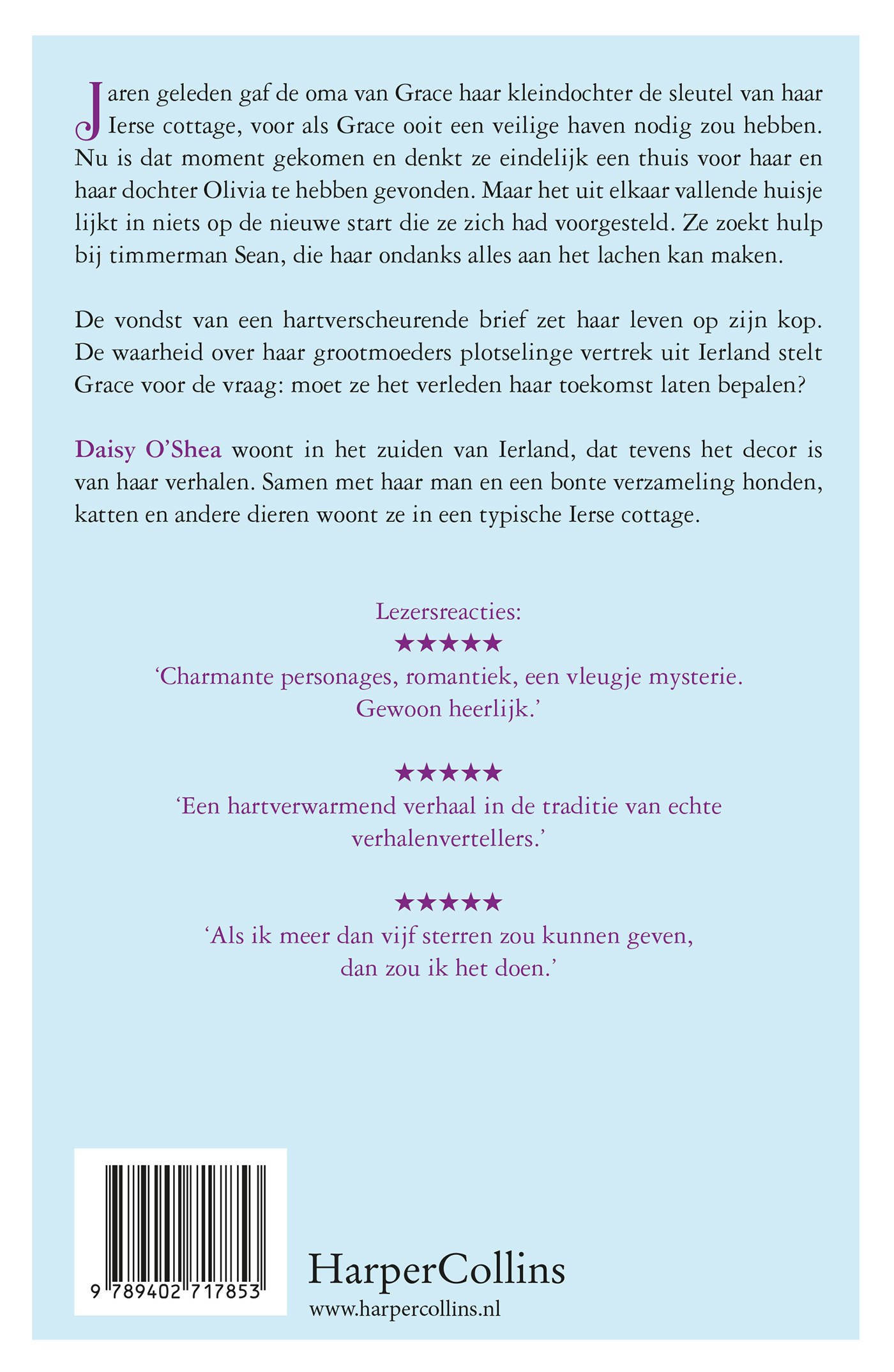Achterkant van De Ierse sleutel