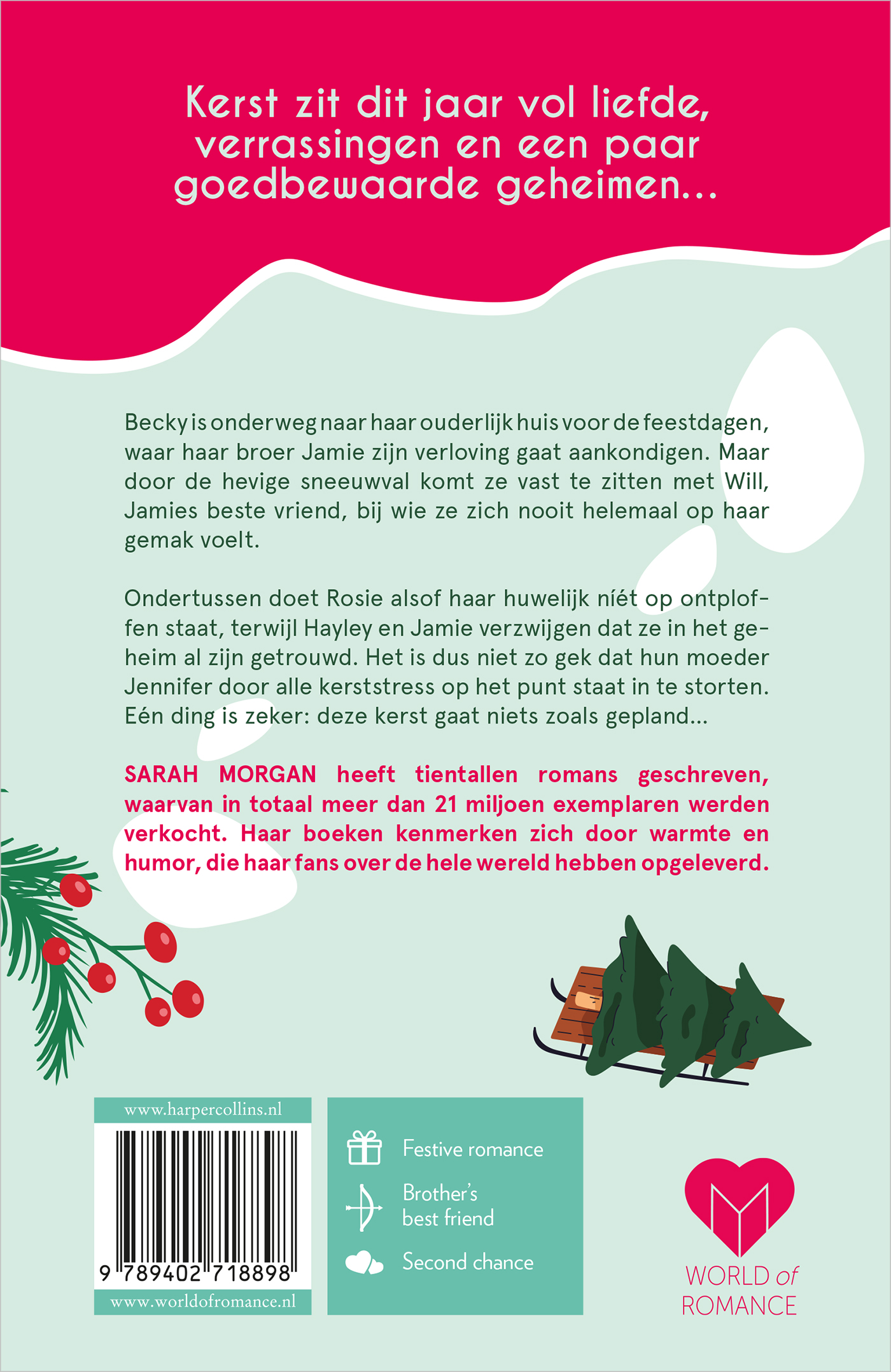 Achterkant van Een kleine kerstleugen