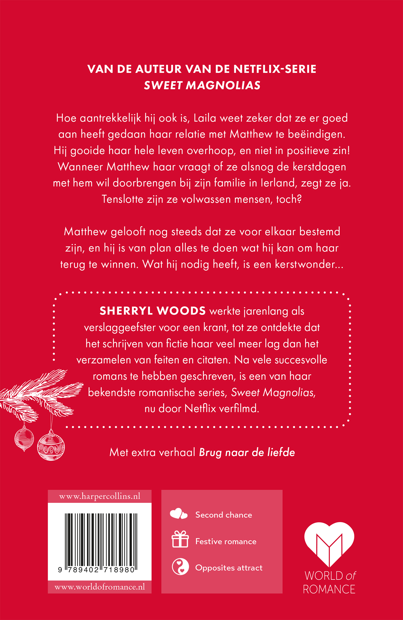 Achterkant van Een Ierse kerst