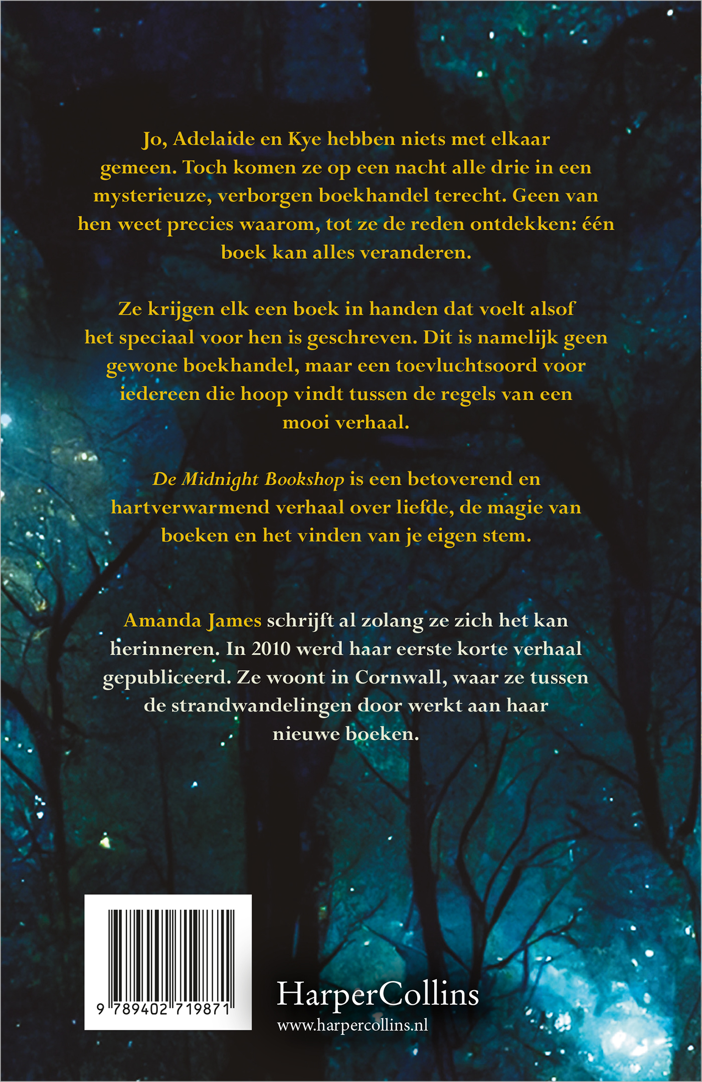 Achterkant van De Midnight Bookshop