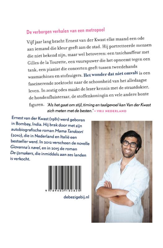 Achterkant van Het wonder dat niet omvalt