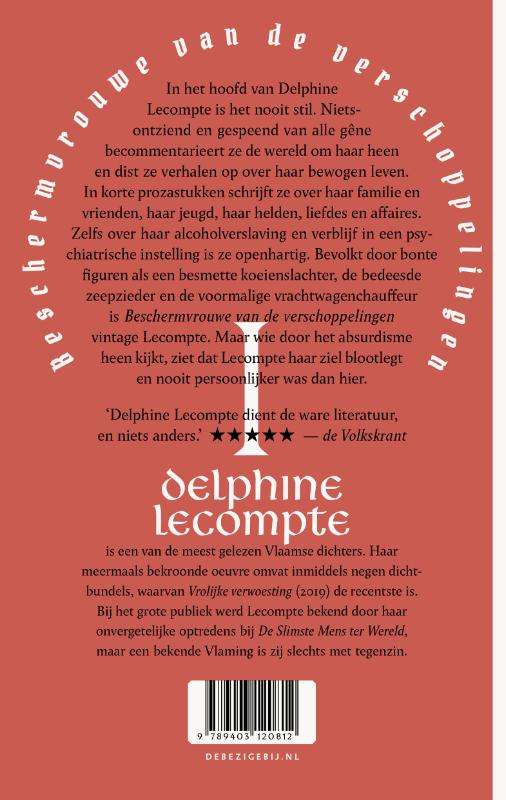 Achterkant van Beschermvrouwe van de verschoppelingen