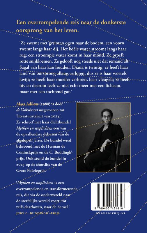 Achterkant van Kijk es naar al dat licht