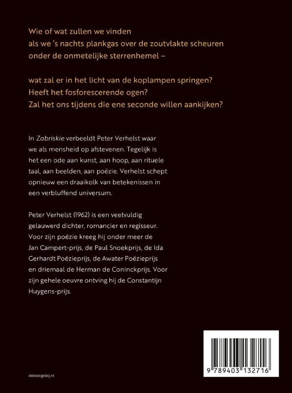 Achterkant van Zabriskie