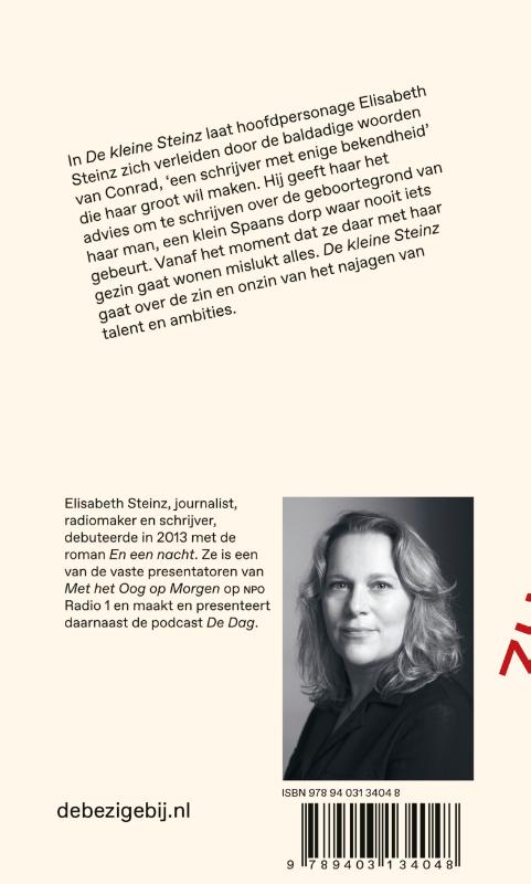 Achterkant van De kleine Steinz