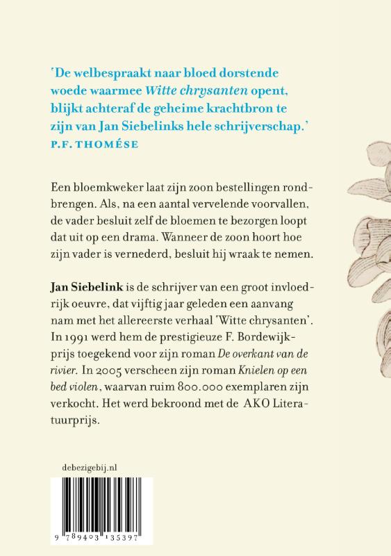 Achterkant van Witte chrysanten