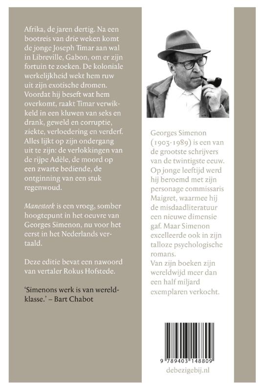 Achterkant van Manesteek