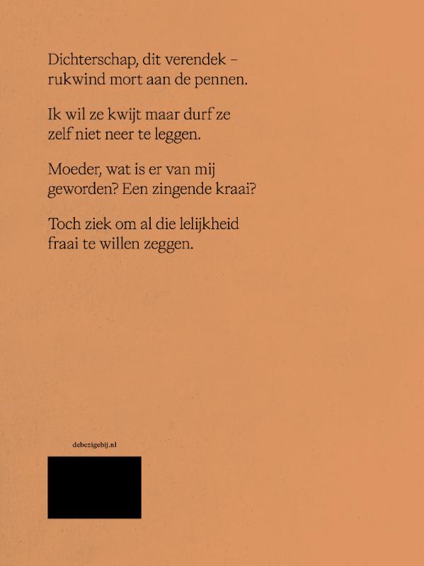 Achterkant van Vlerk