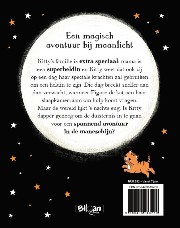 Achterkant van Redding in de maneschijn