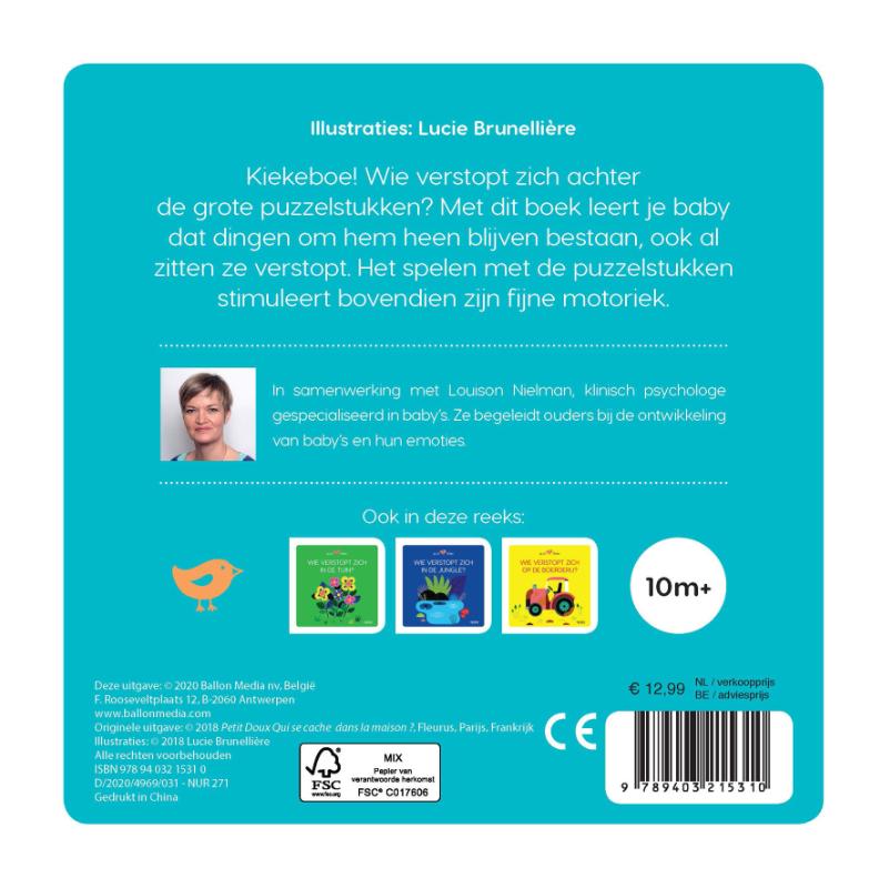 Achterkant van Wie verstopt zich in het huis? (puzzelboek)