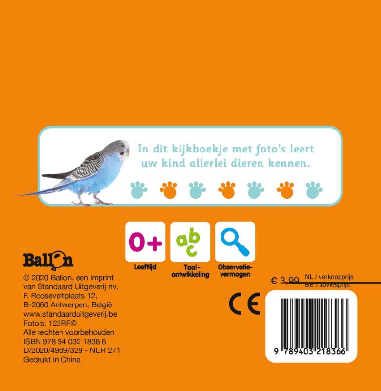 Achterkant van Dieren