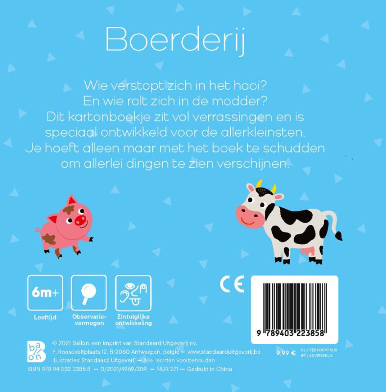 Achterkant van Boerderij
