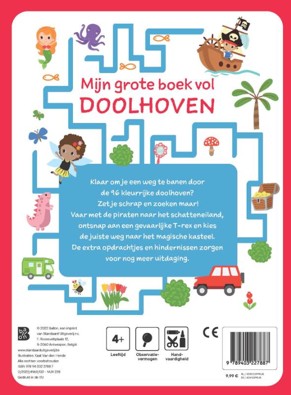 Achterkant van Mijn grote boek vol doolhoven