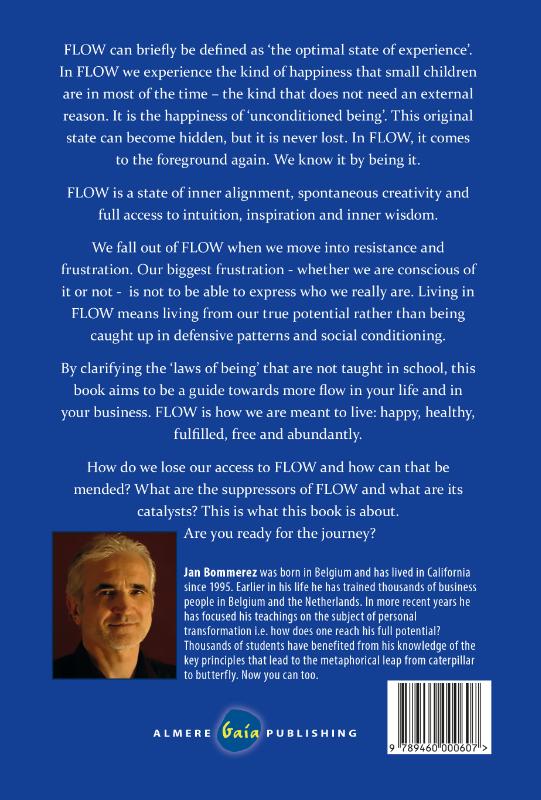 Achterkant van Seven insights for more flow in your business and your life