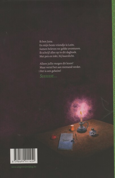 Achterkant van Het geheime dagboek