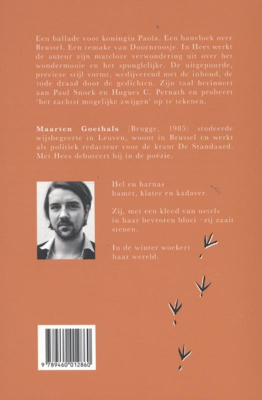 Achterkant van Hees
