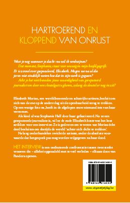 Achterkant van Het interview