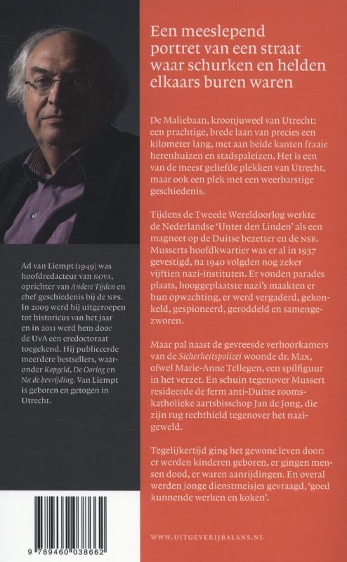 Achterkant van Aan de Maliebaan