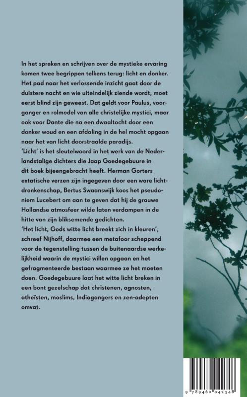 Achterkant van Wit licht