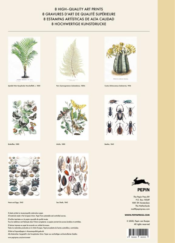 Achterkant van Natural History