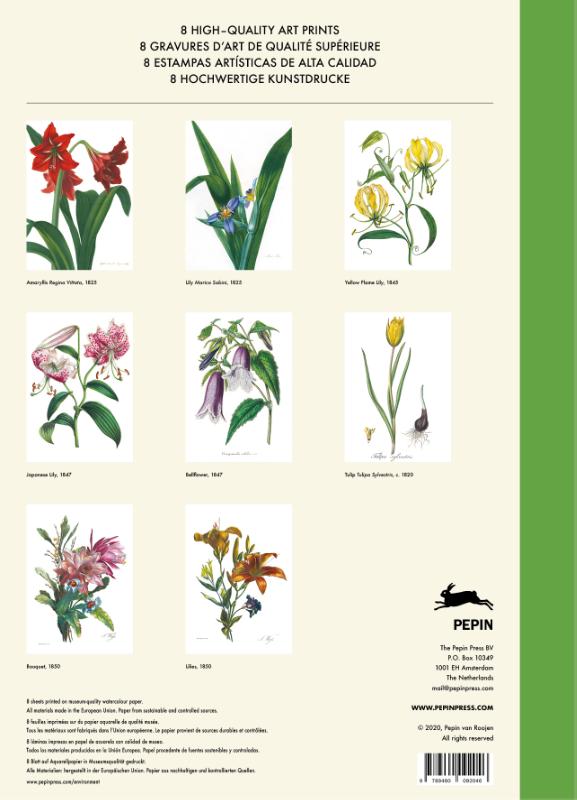 Achterkant van Flower Prints