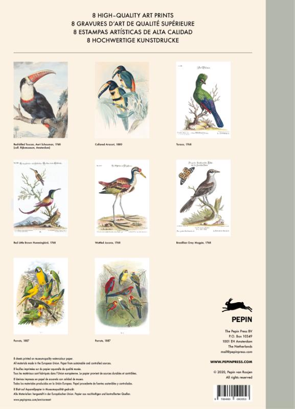 Achterkant van Tropical Bird Prints