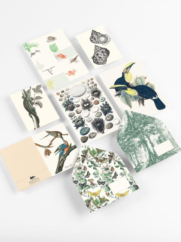 Achterkant van Natural History