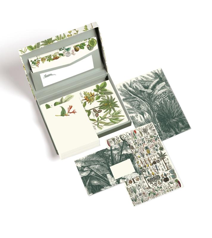 Achterkant van Botanical