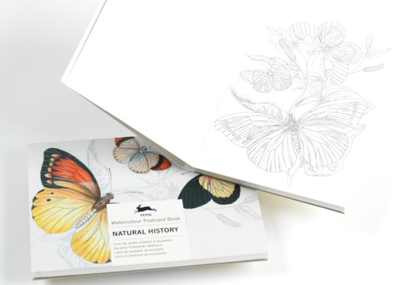 Achterkant van Natural History
