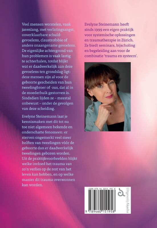 Achterkant van De verloren tweelinghelft