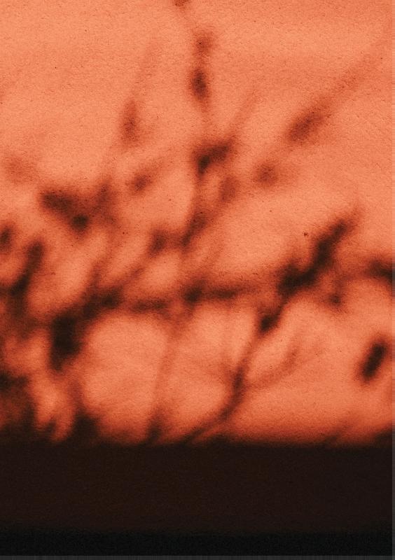 Achterkant van Rooted Spaces