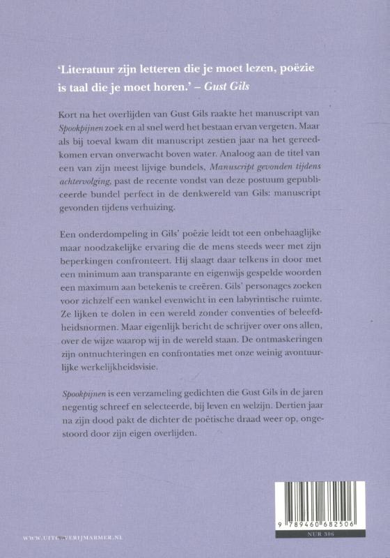 Achterkant van Spookpijnen