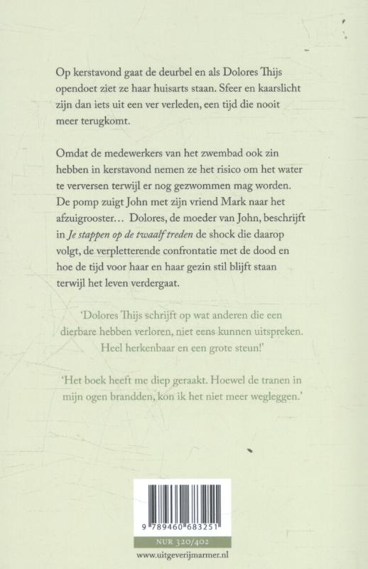 Achterkant van Je stappen op de twaalf treden